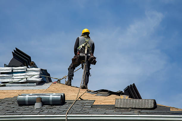 Professional Roof Repair technician working in Randolph, IA
